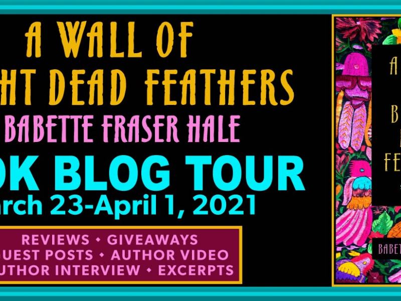 Blog Tour:  A Wall of Bright Dead Feathers by Babette Fraser Hale